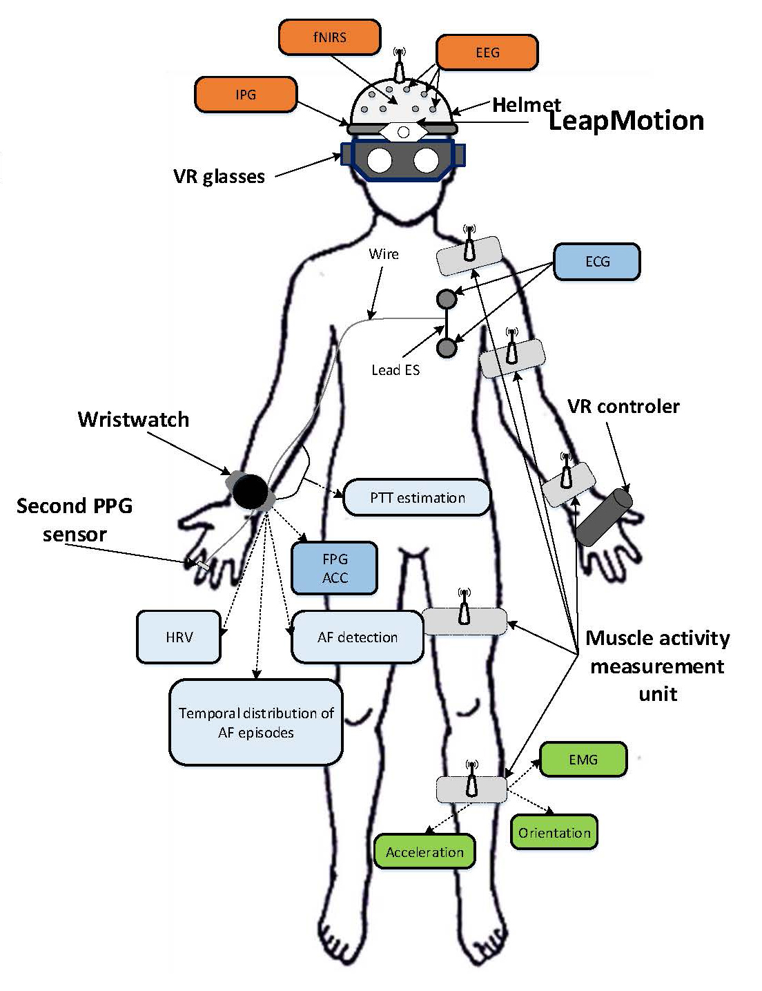 Gruppo-FOS_Ingegneria_Salute_Brain-Stroke-Monitoring-System_struttura-uomo