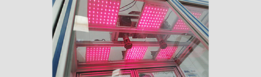 Gruppo-FOS_Engineering-Technology-Transfer_agro_Microcosmo_luce-rosa