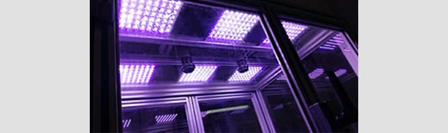 Gruppo-FOS_Engineering-Technology-Transfer_agro_Microcosmo_luce-viola